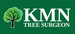 KMN Tree Surgeon logo